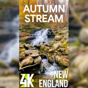 4k_NEW_EANGLAND_AUTUMN_STREAM_Vertical_Display_Video_2_Hours_YOUTUBE