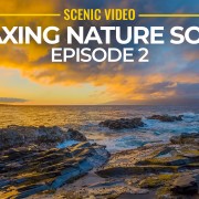 4k_Nature_Relaxing_Sound_Episode_2_NATURE_RELAX_VIDEO_8_Hours_YOUTUBE