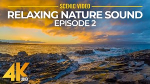 4k_Nature_Relaxing_Sound_Episode_2_NATURE_RELAX_VIDEO_8_Hours_YOUTUBE