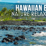 5K Relaxing at Hawaii Nature Relax Video 8 hours YOUTUBE