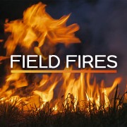 4k Relaxing Field Fires 8 Hours YOUTUBE
