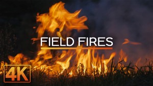 4k Relaxing Field Fires 8 Hours YOUTUBE