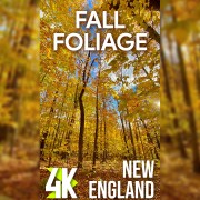 4k_Fall_Foliage_of_New_England_Vertical_Display_Video_2_HOURS_YOUTUBE