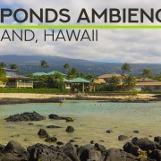 4k_KEIKI_PONDS_Big_Island,_Hawaii_Nature_Relax_Video_8_hours_YOUTUBE
