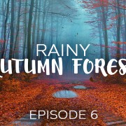 8K_Foggy_Rainy_Autumn_Forest_Episode_#6_NATURE_RELAX_VIDEO_8_housr