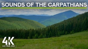 4k Sounds of the Carpathians 8 Hours YOUYUBE