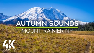 4k_GRAND_PARK_TRAIL_Mount_Rainier_National_Park_Nature_Relax_Video