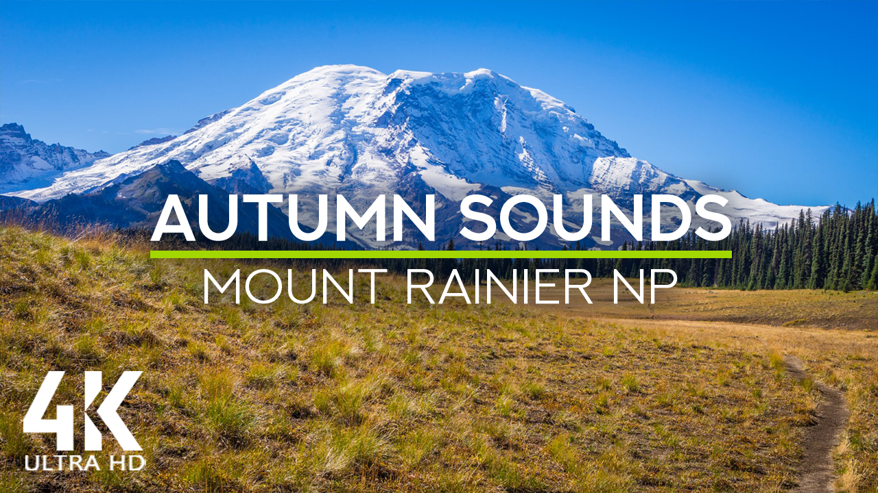 4k_GRAND_PARK_TRAIL_Mount_Rainier_National_Park_Nature_Relax_Video