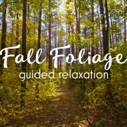 AUTUMN FOREST RELAX NARRATED ENG youtube