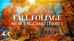 4K Fall Foliage NEW ENGLAND Part 1 9 hours YOUTUBE