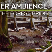4K Winter Forest Bridge NATURE RELAX VIDEO 8 HOURS YOUTUBE