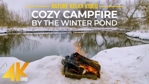 4K_Cozy_Bonfire_By_The_Winter_Pond_Nature_Relax_Video_YOUTUBE