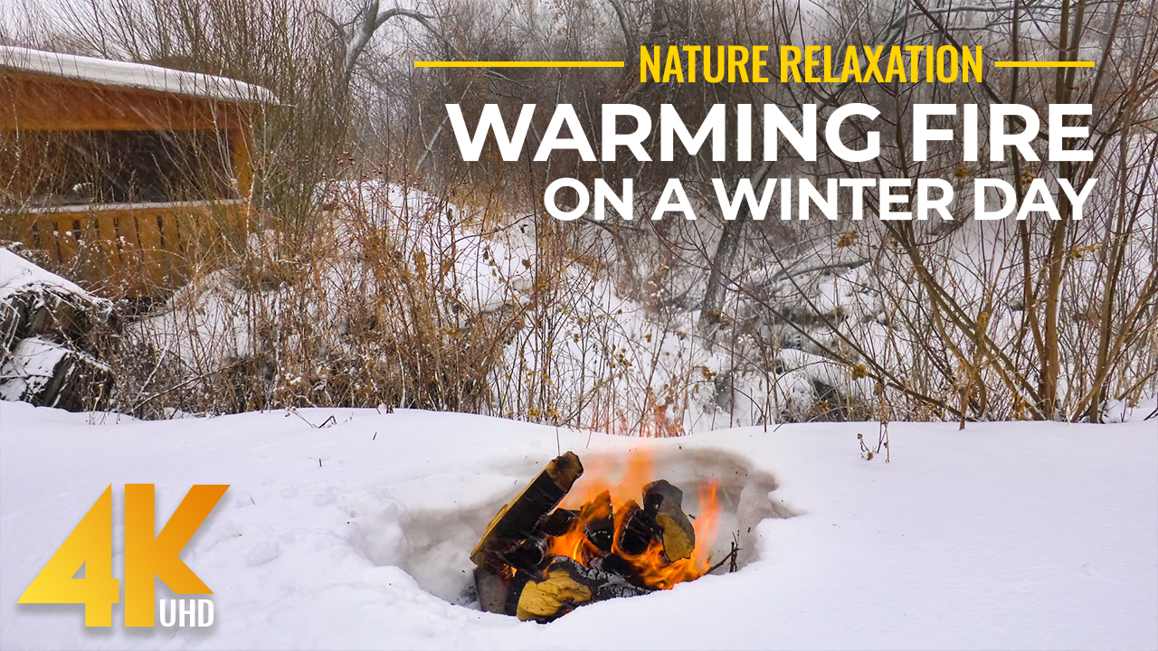4K_Warming_Fire_On_A_Cold_Winter_Day_Nature_Relax_Video_YOUTUBE