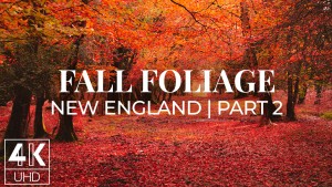 4K_Fall_Foliage_NEW_ENGLAND_Part_2_4K_TV_WALPAPERS_SCREENSAVERS