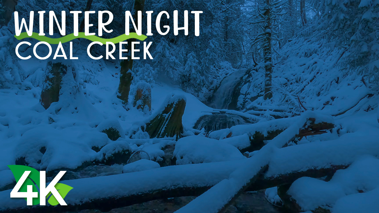 5k_winter_night_at_coal_creek_waterfall_Nature_relax_Video_8_Hours