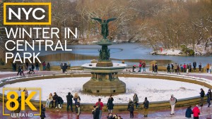 8K Winter In NY Central Park Urban Life Video YOUTUBE