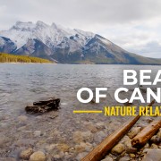 Winter_Beauty_of_Canadian_Nature_Nature_Relax_Video_FILM_YOUTUBE