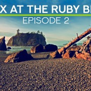 photo_2023-01-09_06-30-17