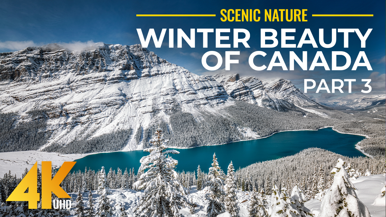 4k Winter beauty of Canadian Nature Part 3 FILM YOUTUBE