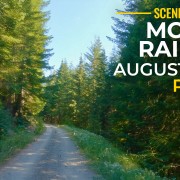 5k_Mount_Rainier_Scenic_Roads_August_2022_Part_3_Scenic_Drive_Video