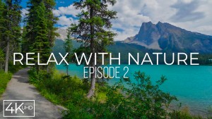 4K RELAX WITH NATURE EPISODE 2 Nature Relax Video YOUTUBE