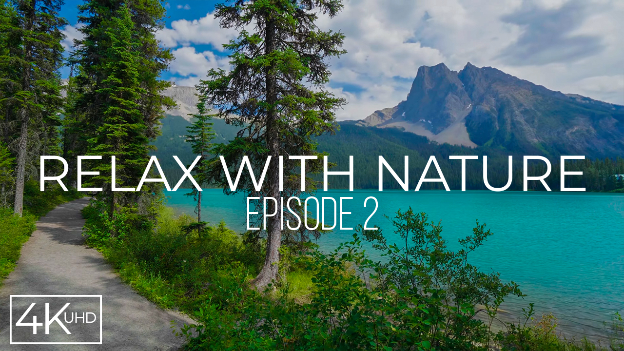 4K RELAX WITH NATURE EPISODE 2 Nature Relax Video YOUTUBE