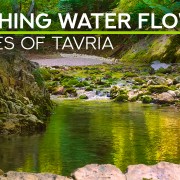 4K_Forest_water_flows_Gorges_of_Tavria_Nature_Relax_Video_8_hours