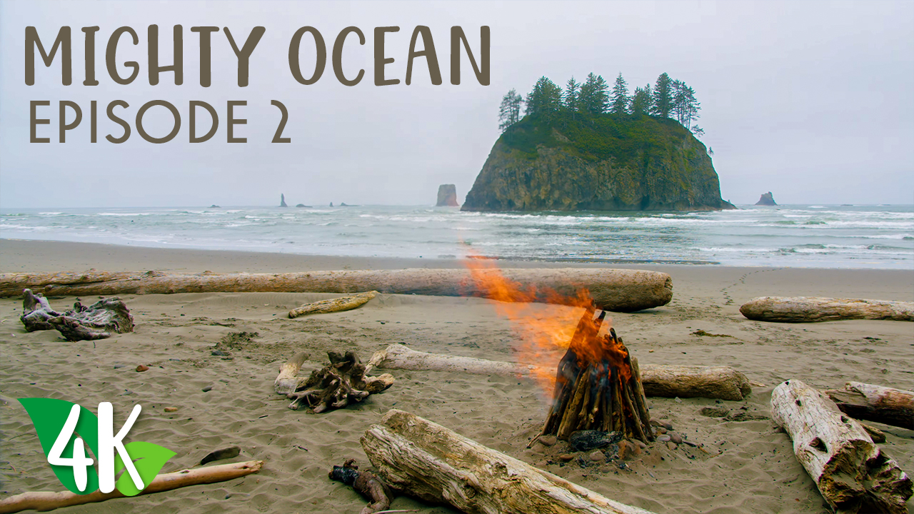 4K_The_Beauty_of_a_mighty_ocean_Episode_2_Relax_Video_–_8_Hours