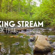 4k_Little_Stream_of_the_May_Creek_Trail_Nature_Relax_Video_8_hours
