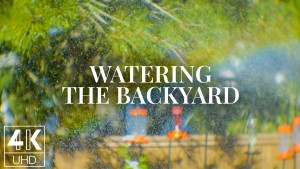 4k_Watering_the_Backyard_4K_TV_Wallpapers_&_Screensavers_8_Hs_YOUTUBE
