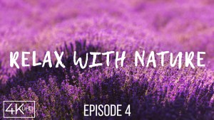 4k RELAX WITH NATURE EPISODE 4 YOUTUBE