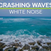 photo_2023-03-21_18-07-10