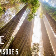 4K RELAX WITH NATURE EPISODE 5 Nature Relax Video YOUTUBE
