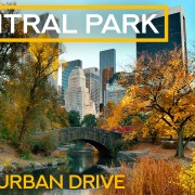 8K Central Park October 19, 2022 360 VR Video YOUTUBE