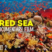 THE RED SEA EP 2 narrated youtube