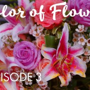 4k Color of Flowers Episode 3 Nature Relax Video APP