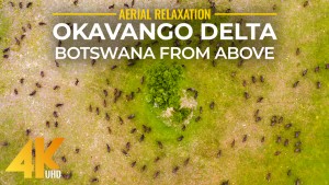 4K_Okavango_Delta_View_From_Above_Aerial_Relaxation_2022_ONLY_SELL