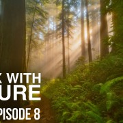 4K_RELAX_WITH_NATURE_EPISODE_8_with_music_and_nature_sounds_ONLY
