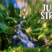 4K_Jungle_Steam_Serenity_Nature_Relax_Video_3_Hours_ONLY_SELL_YOUTUBE