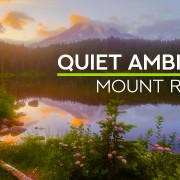 4K_Quiet_Mountain_Atmosphere_At_Mt_Rainier_Washington_ST_Nature