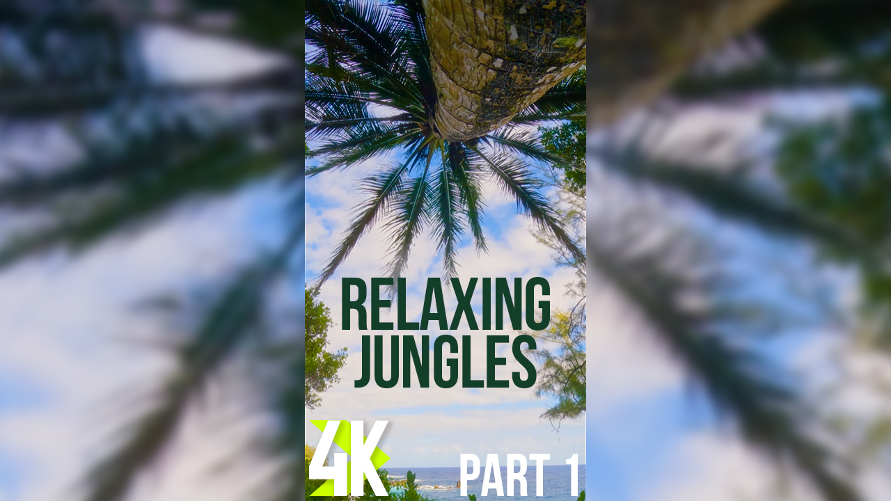 4k_Tropical_Escape_Exploring_the_Jungle_and_Palms_Episode_1_Vertical