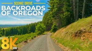 8K_Journey_Through_Oregon's_Backroads_Scenic_Drive_Video_ONLY_SELL