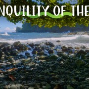 4K_Oceanic_Tranquility_A_Relaxing_View_of_the_Sea_Nature_Relax_Video