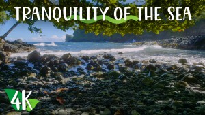 4K_Oceanic_Tranquility_A_Relaxing_View_of_the_Sea_Nature_Relax_Video