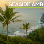4K_Paradise_Surf_hawaii_Nature_Relax_Video_8_Hours_ONLY_SELL_YOUTUBE