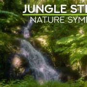 4K_Wild_Symphony_Stream_in_the_Jungle_Nature_Relax_Video_8_Hours