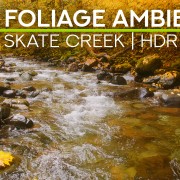 8K_HDR_Autumn_River_in_Fall_Foliage_Season_Skate_Creek_Road_1_Hour