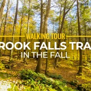 4K_Fall_Brook_Falls_Trail_Connecticut_11_03_2021_Nature_Walking