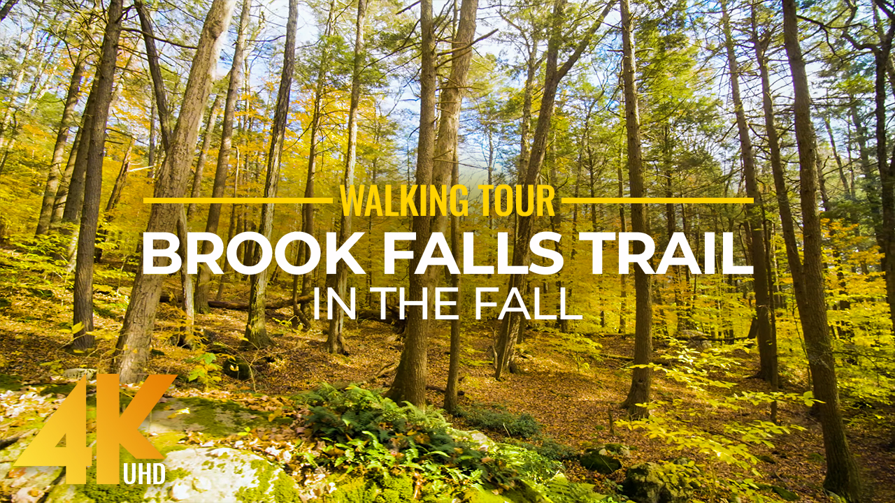 4K_Fall_Brook_Falls_Trail_Connecticut_11_03_2021_Nature_Walking