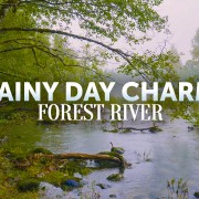 4K_Forest_River's_Rainy_Charm_Nature_Relax_Video_3_Hours_YOUTUBE